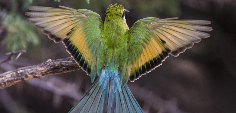 9 Best Best Arts Of 2013 Images Top 10 Art Art Story Top Art