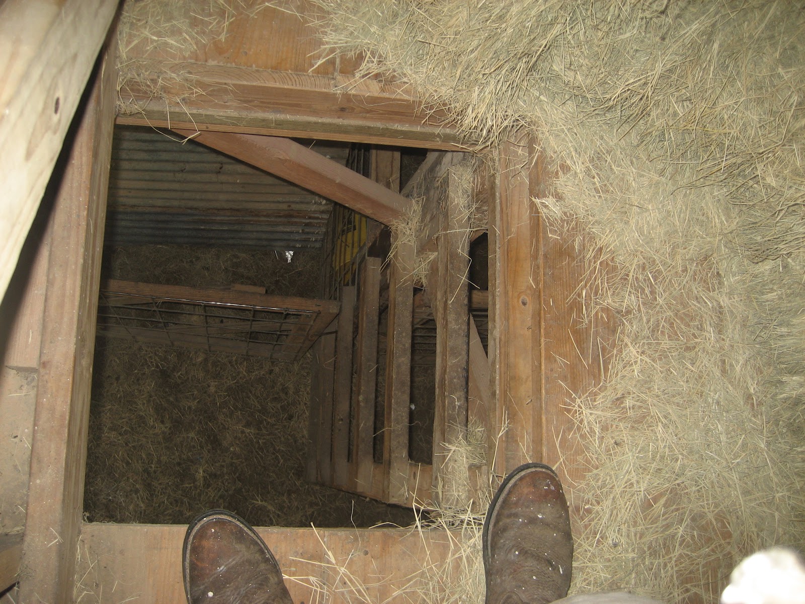 Our Maker's Acres Family Farm The Hay is in the Barn