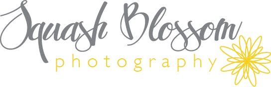 Squash Blossom Photography
