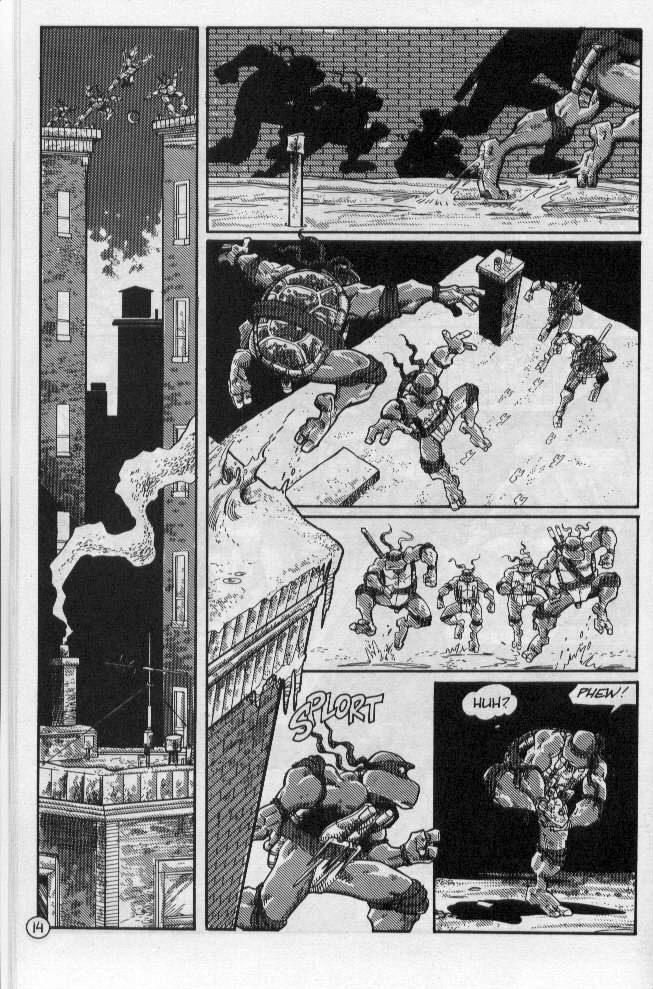 Teenage Mutant Ninja Turtles (1984) Issue #55 #55 - English 17