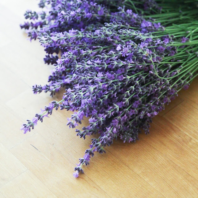 herbs, lavender, flowers, harvest, Anne Butera, My Giant Strawberry