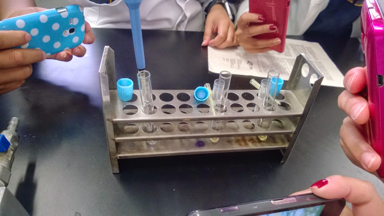 DETERMINACION DE TP & TPT DETERMINACION DE TP Y TPT