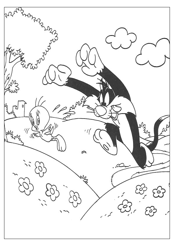 tweety bird and sylvester coloring pages  minister coloring