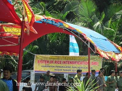Tradisi Panen Raya di Pangkep Tradisi Panen Raya di Pangkep