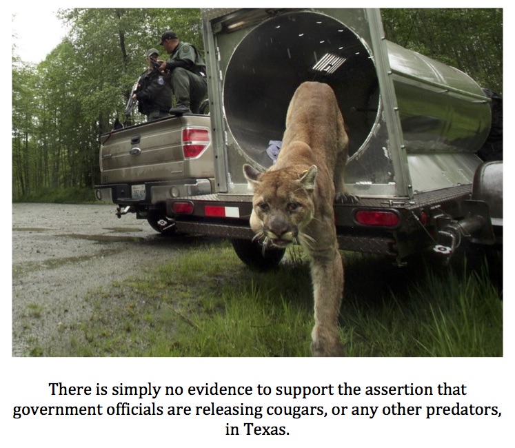 Texas Cryptid Hunter Fact or Fiction? The Government is Releasing