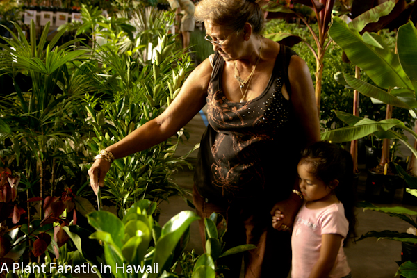 Anthurium Growers Big Island Anthurium Growers Big Island