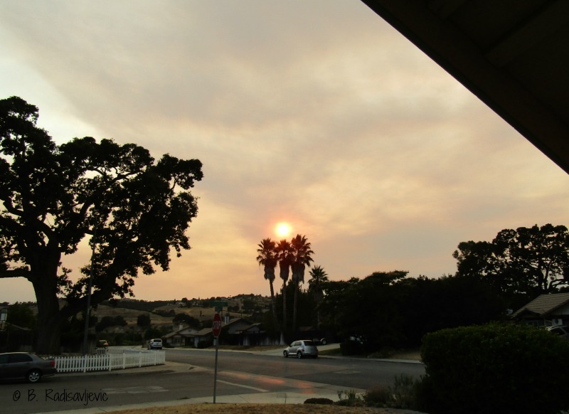 Photos of Smoky Sunset during Chimney Fire, Paso Robles, August 2016