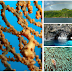 Informasi : 6 Tempat Wisata LOLODA UTARA yang Wajib Dikunjungi - Wisata Halmahera Utara, GLOBAL 