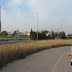 Medía Maratón de Alaquas 2012