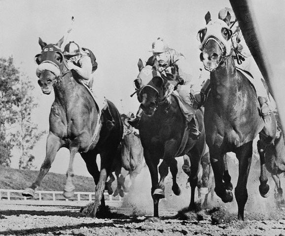 A Line From Linda Seabiscuit a-line-from-linda-seabiscuit