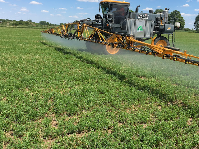 fertilizing alfalfa