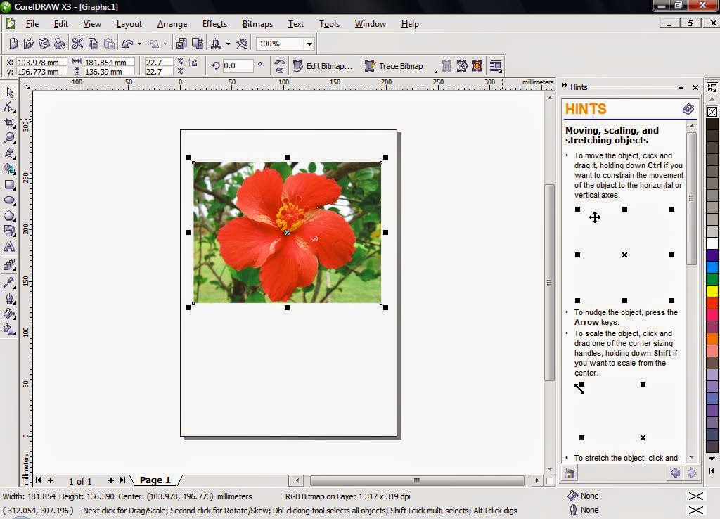 corel drawings x3 torrent corel drawings x3 torrent