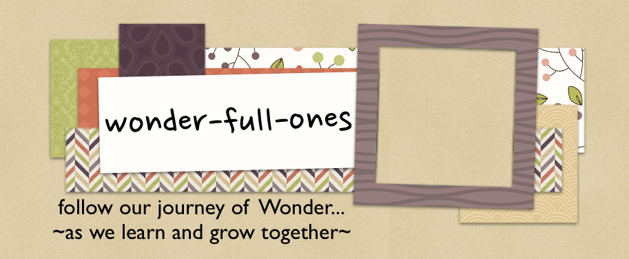 wonder-full-ones