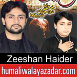 https://www.humaliwalayazadar.com/2015/07/zeeshan-haider-nohay-2006-to-2016.html
