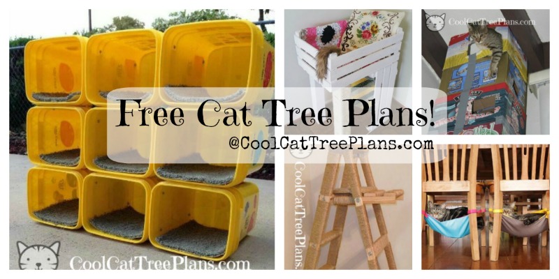 Free Cat Tree Plans Cool Cat Tree Plans