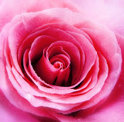 New Sacred Rose Broadcast by OMoROSE: