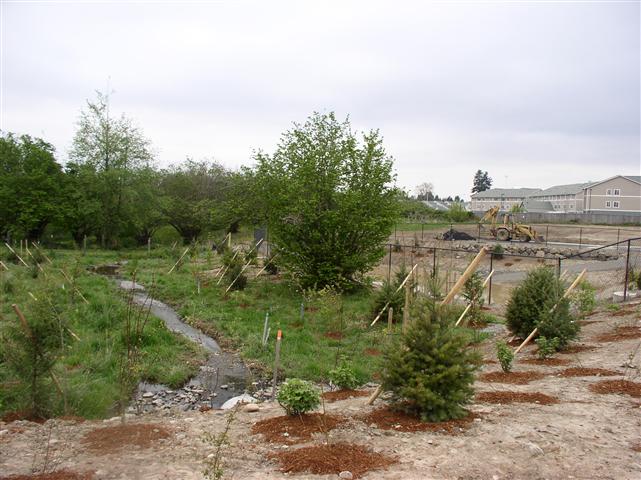 OLM Industries, Inc: Wetland Buffer and Mitigation Projects