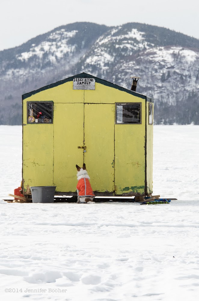 Quercus Design Ice Fishing on Eagle Lake, March 1, 2014