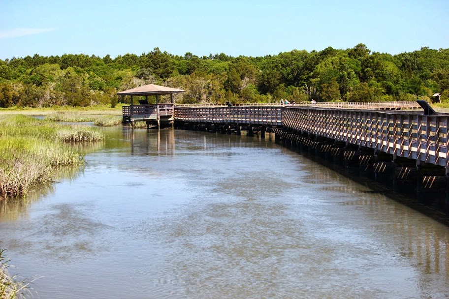 Life Through A Lens Marsh WalkMyrtle Beach State Park