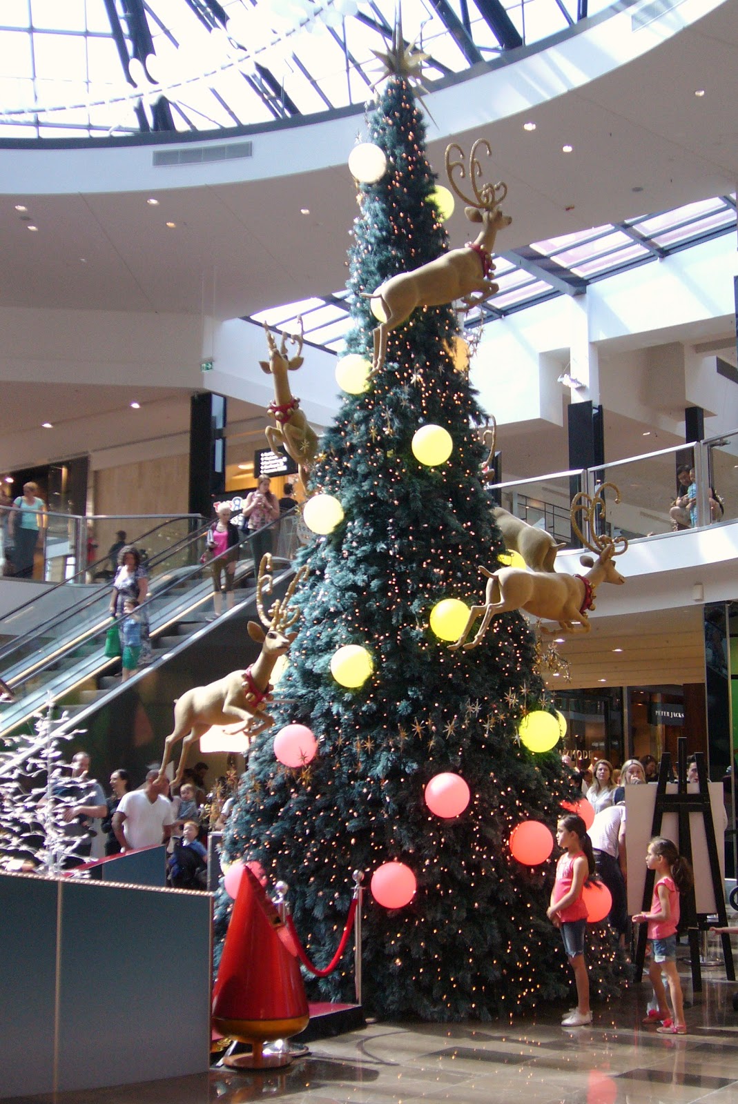 Simple Simon Says: Melbourne - Christmas Trees 2012