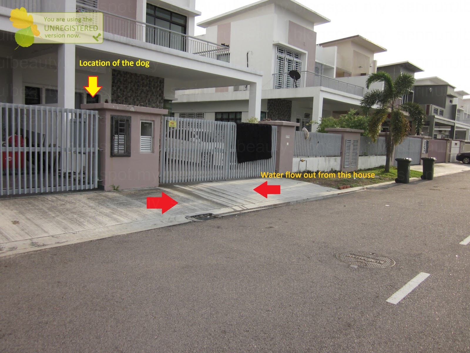 How Do You Get Dried Dog Poop Off Concrete