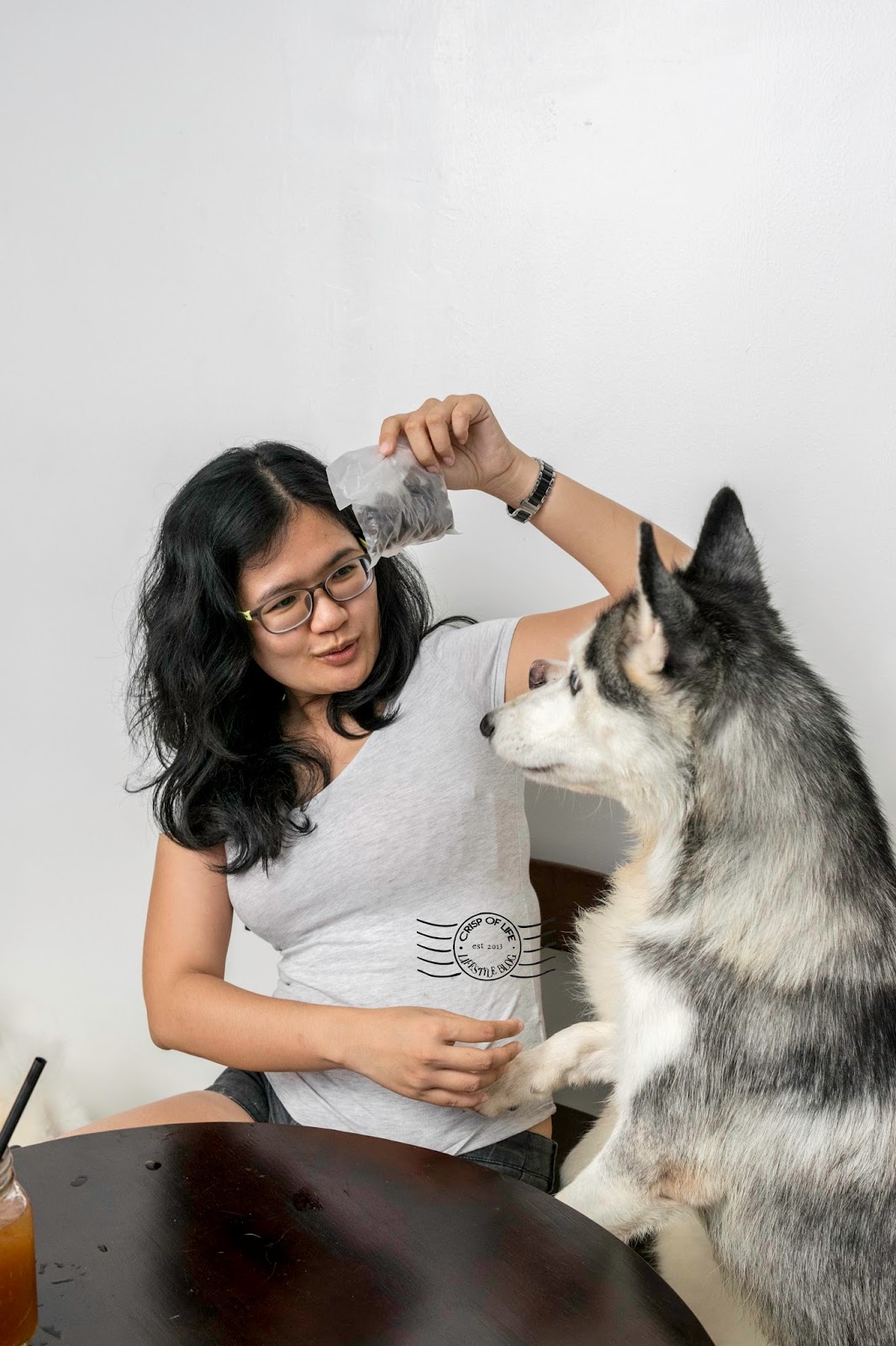 White Paws Mansion Dog House & Cafe Noordin Street, Penang Crisp of