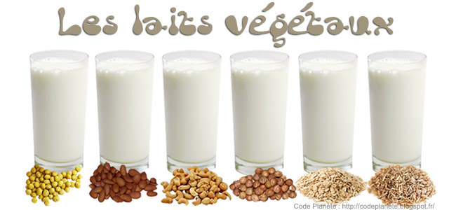 Code Planète : blog vegan, guides, recettes, livres: Les laits
