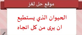 الحيوان الذي يستطيع ان يرى من كل اتجاه بدون ان يحرك راسه الحيوان الذي يستطيع ان يرى من كل اتجاه بدون ان يحرك راسه