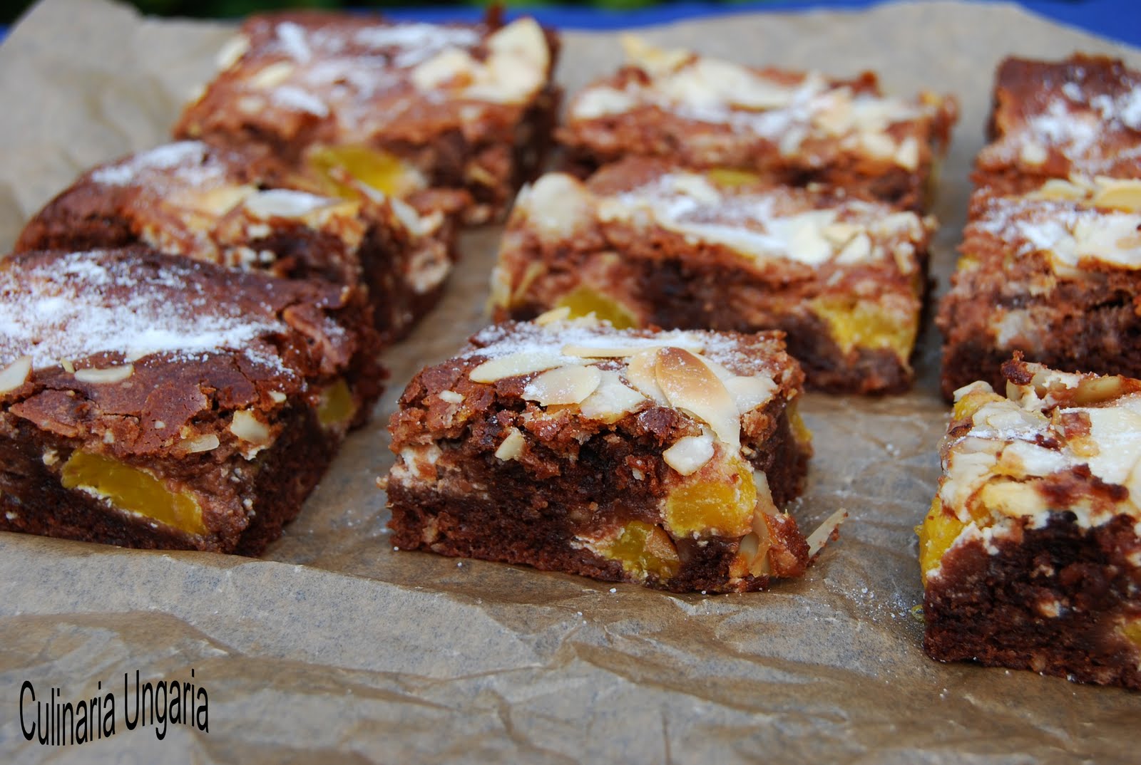 Culinaria Ungaria QuarkBrownie mit Pfirsisch und Schokolade
