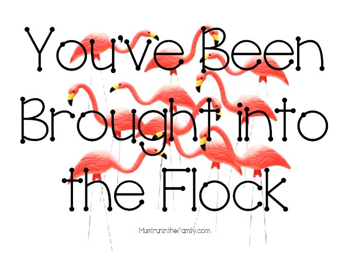 Temporary Contact Paper Kitchen Cabinet Decorations Pink Stripey