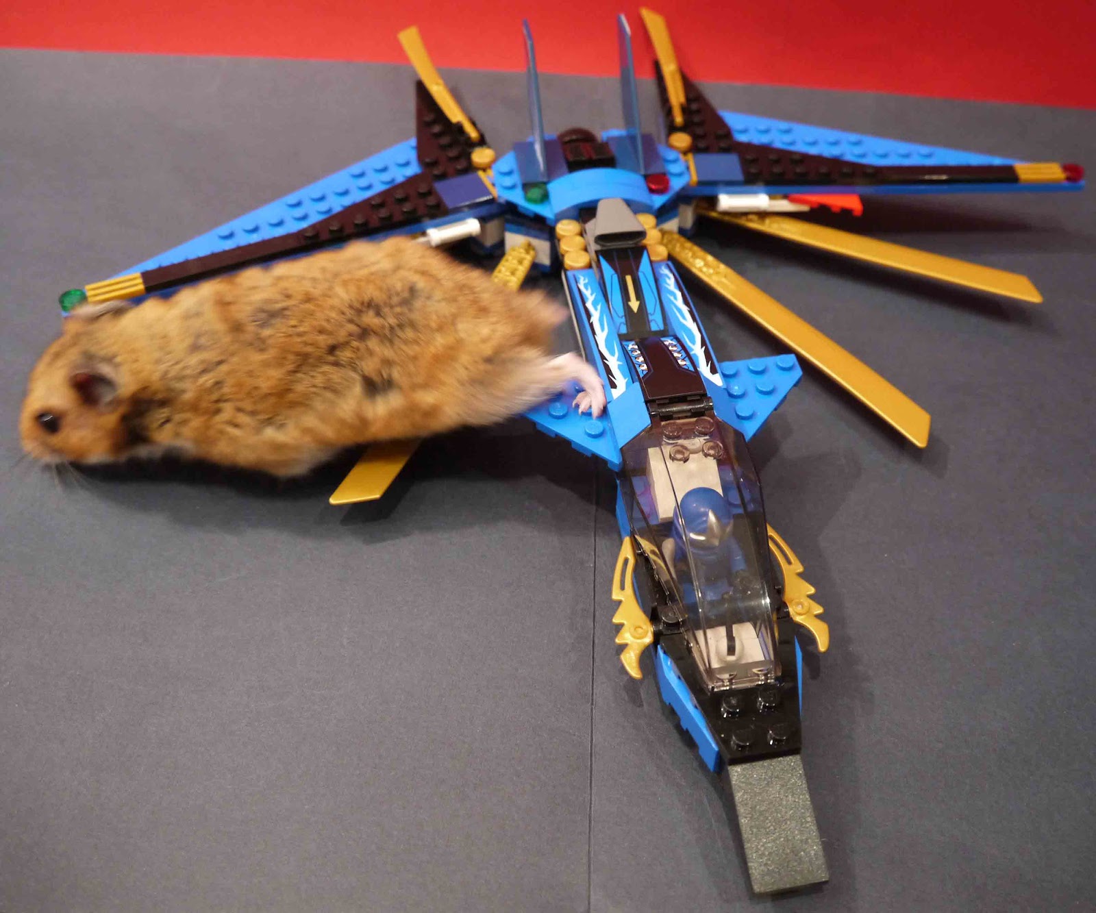 FANLEGO: Avi?�n ninjago de Jay zx