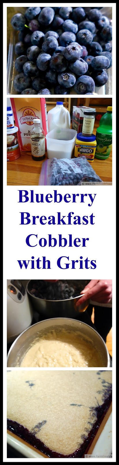 http://www.farmfreshfeasts.com/2015/08/blueberry-breakfast-cobbler-with-grits.html
