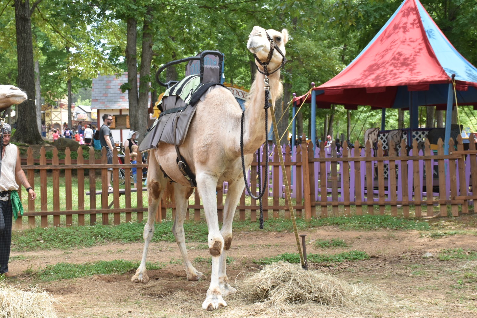 Non-Stop Fun Weekend at The Rock Ranch and Georgia Renaissance Festival