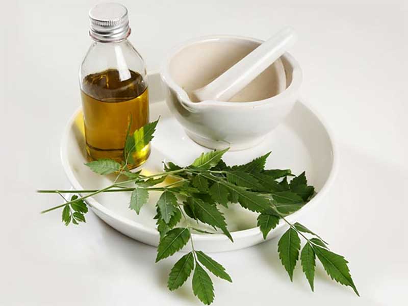 How To Treat Scabies Using Tea Tree Oil? Dr Farrah MD