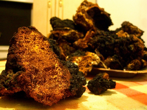 nam-chaga-nguyen-khoi-loai-1-oct15.PNG