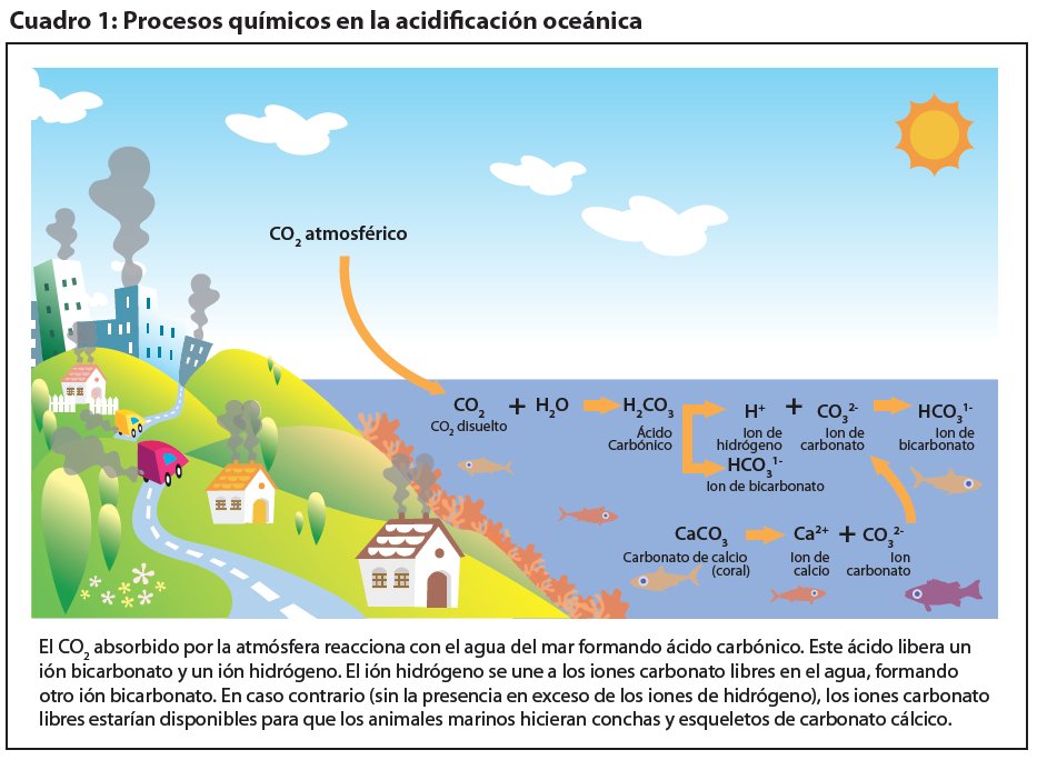 El CO2 y la Acidificación de