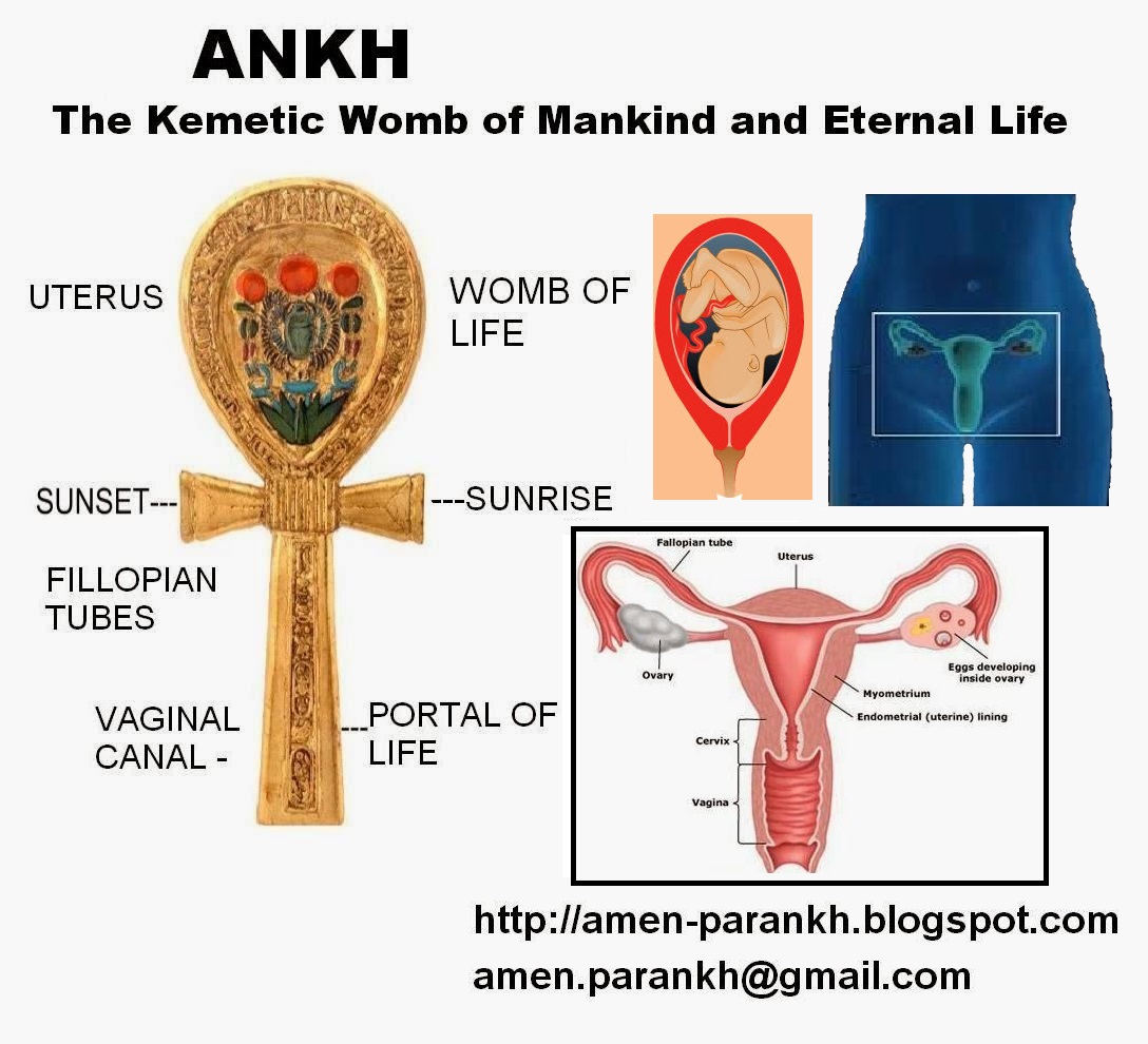 Nuta's Ankh: ANKH The Kemetic Womb of Mankind and Symbol of Eternal Life