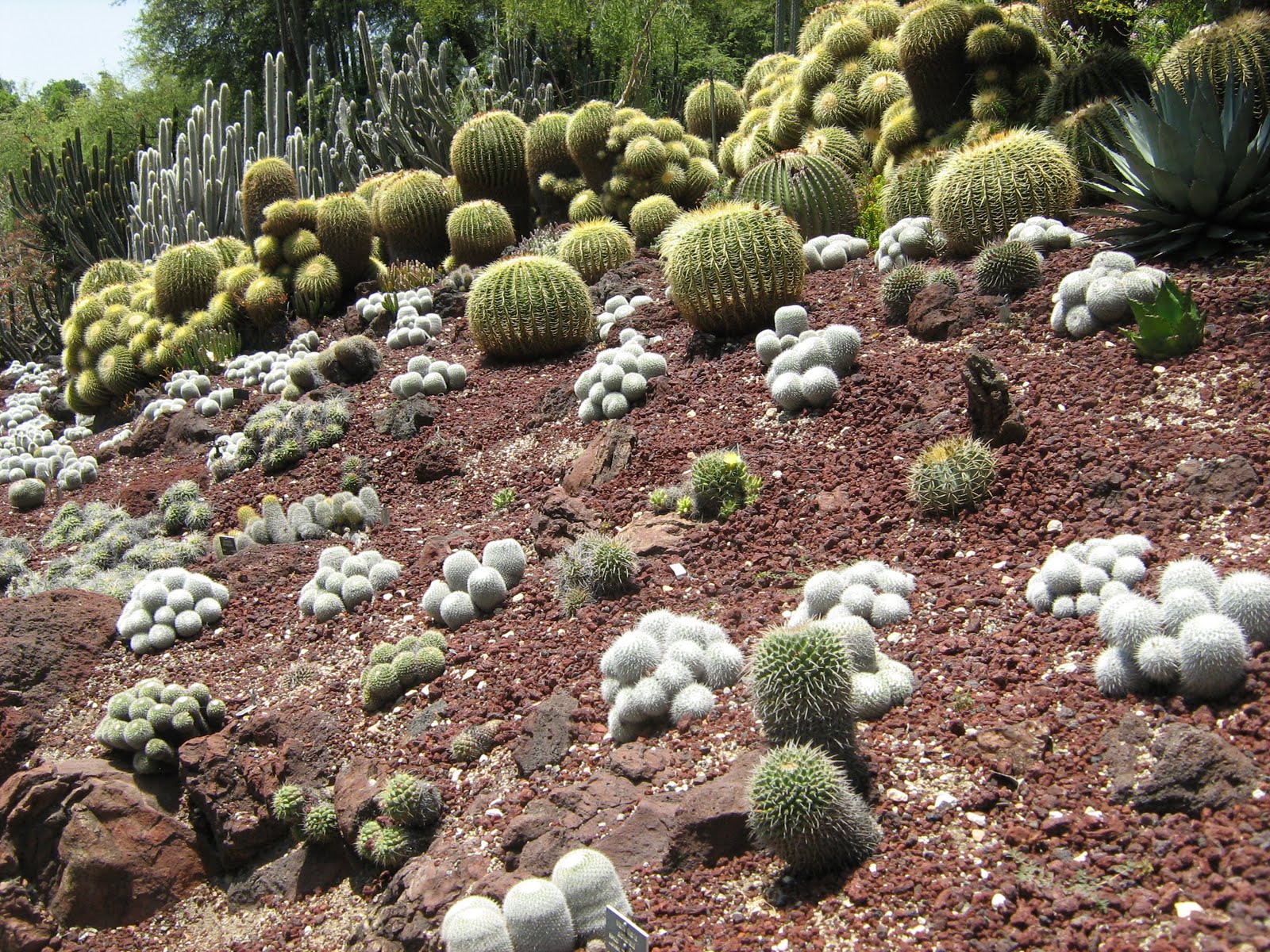 Journey to a wondrous country...: August 2011
