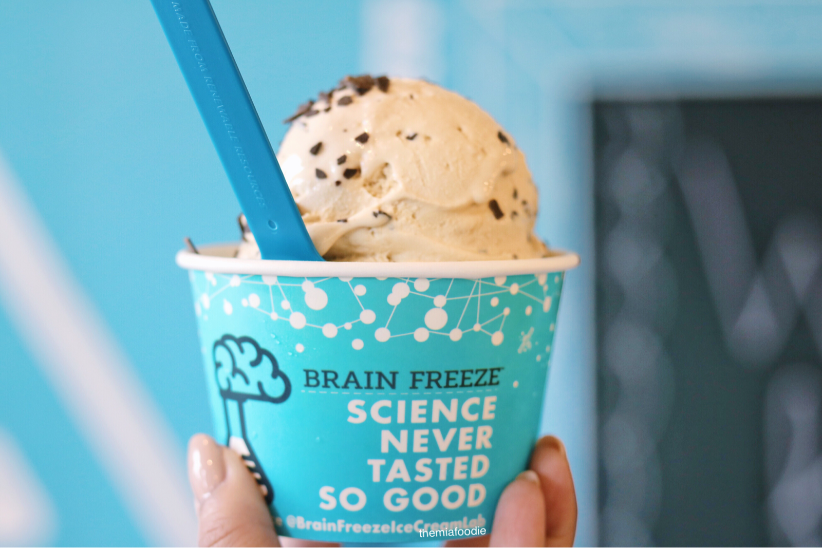 Brain Freeze Ice Cream Lab NEW MENU the MIA foodie