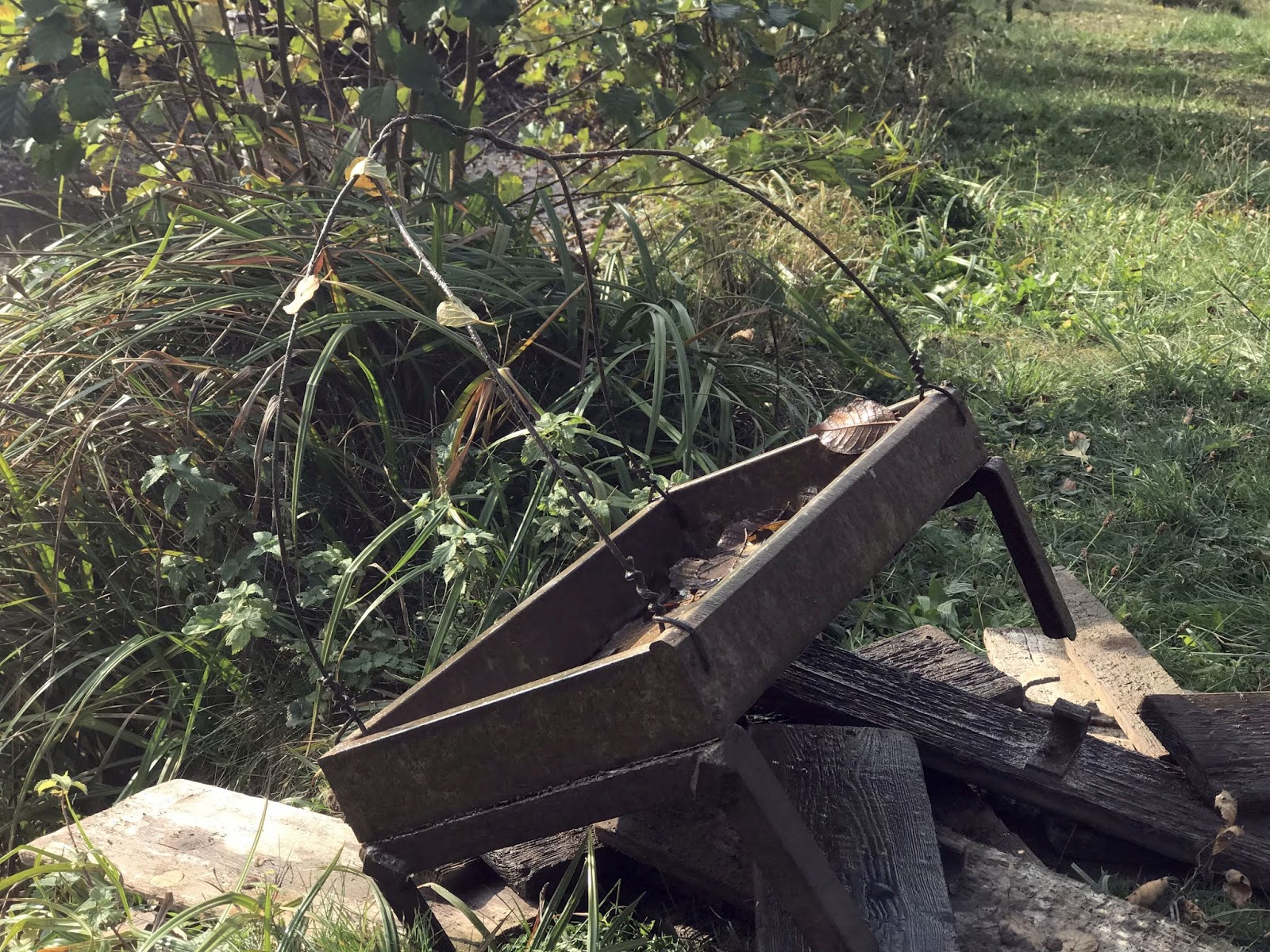 Bookish Catlady Neuzugang Herzbuch Von Emily Bold