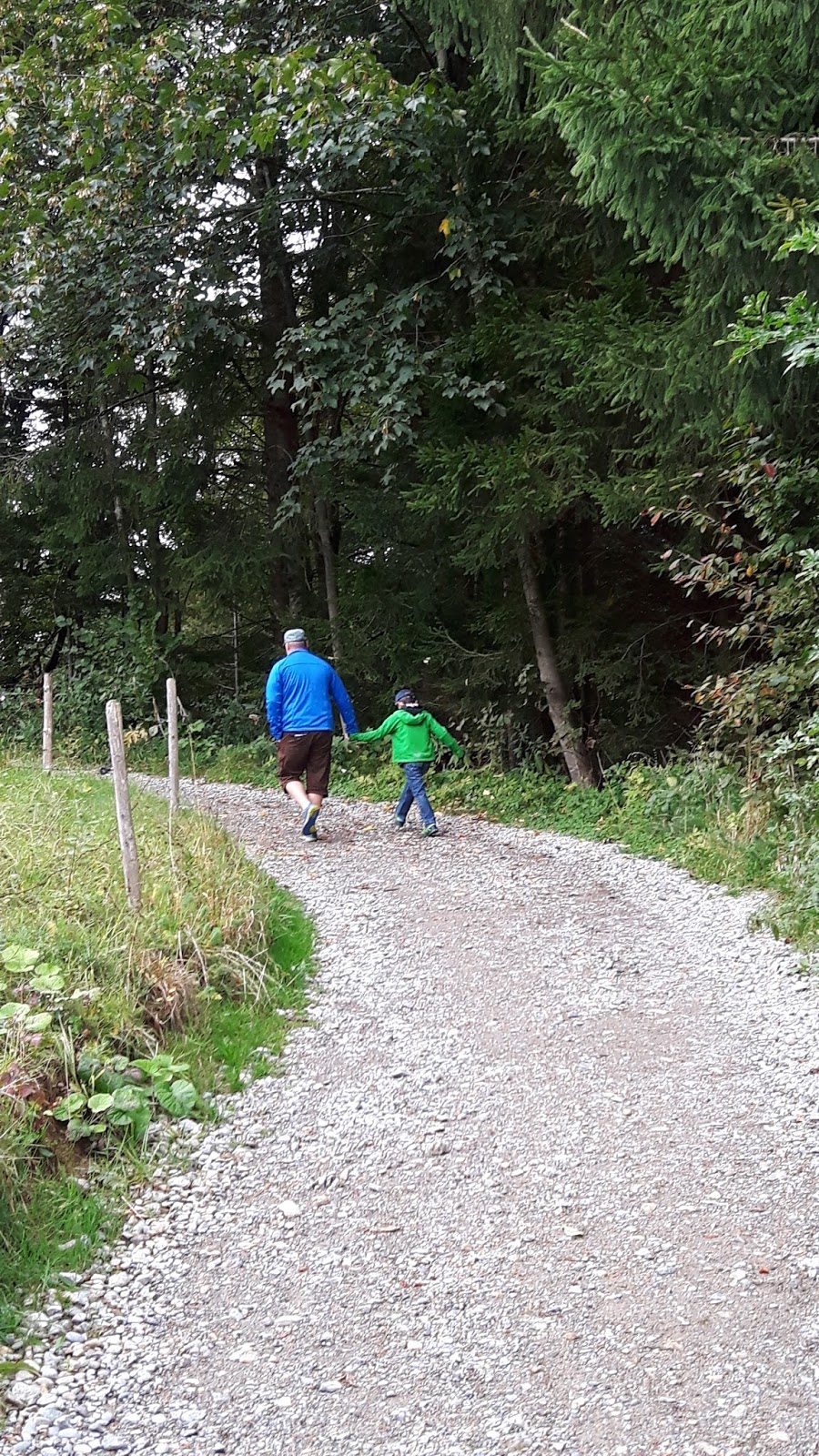 Herzallgauerliebst Das Hintersteiner Tal Alpe Plattele