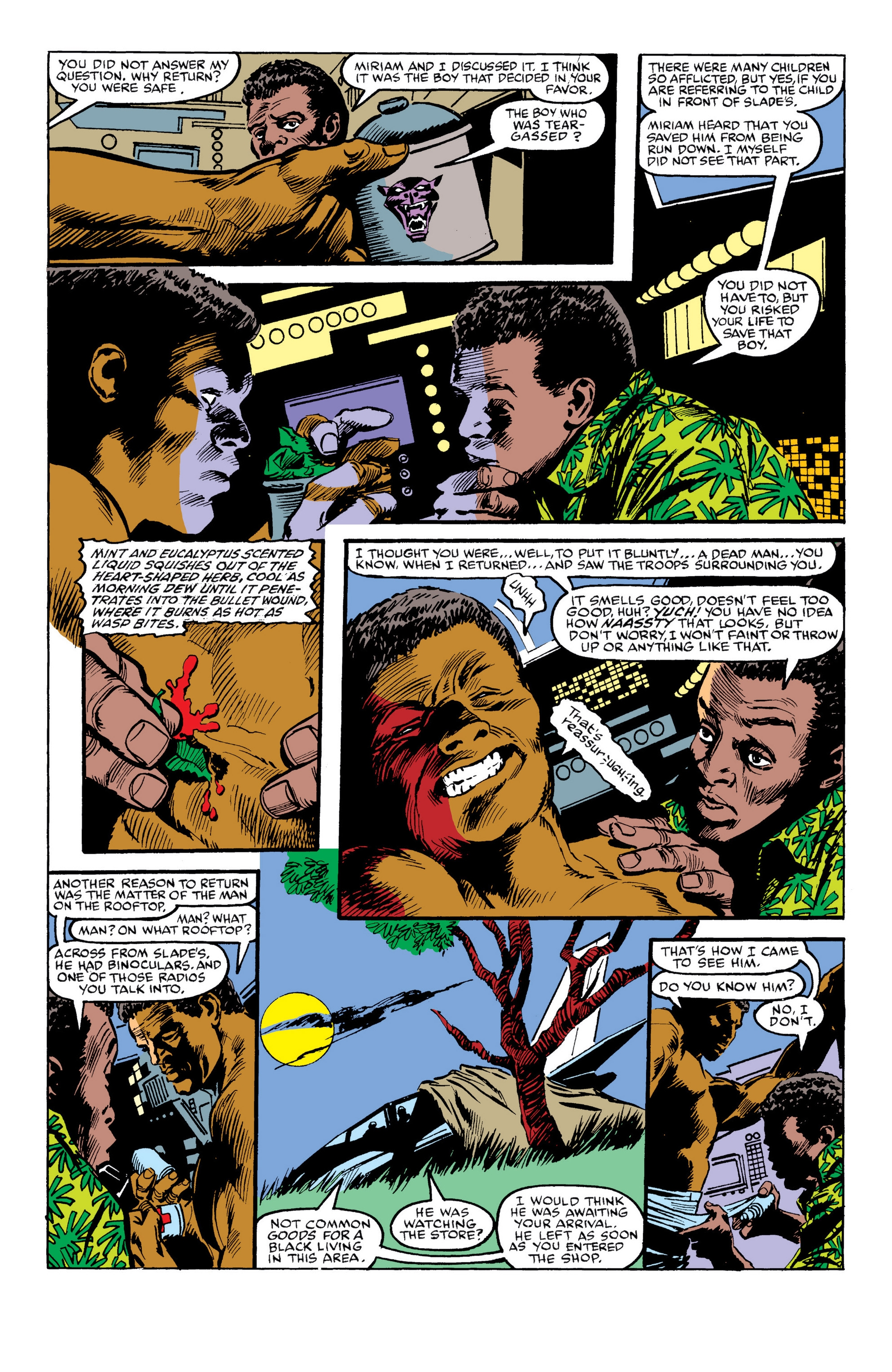 Read online Black Panther: Panther's Quest comic -  Issue # TPB - 102