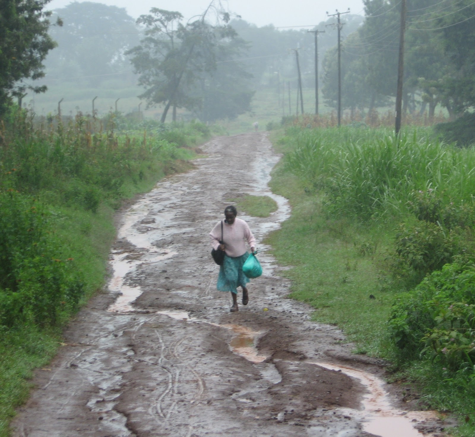 Chronicles of a Kenyan Farmer Long Rains in Kenya Blessing or Curse?