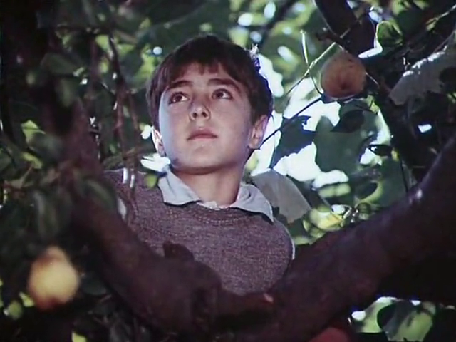Les exploits d un jeune don juan 1987 torrent download hd Les exploits d un jeune don juan 1987 torrent download hd
