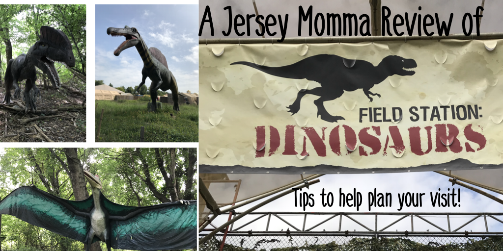 field station dinosaurs groupon