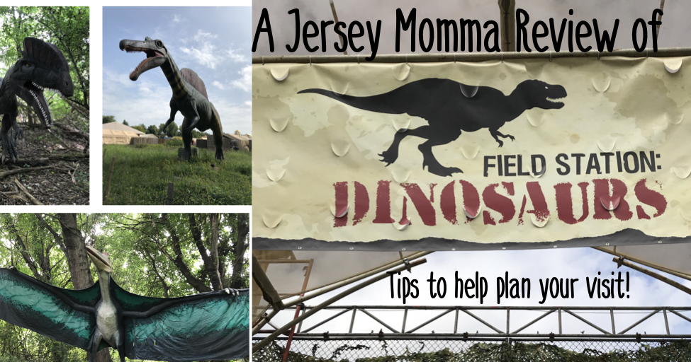 Field Station Dinosaurs Review, Tips and Suggestions for Visiting