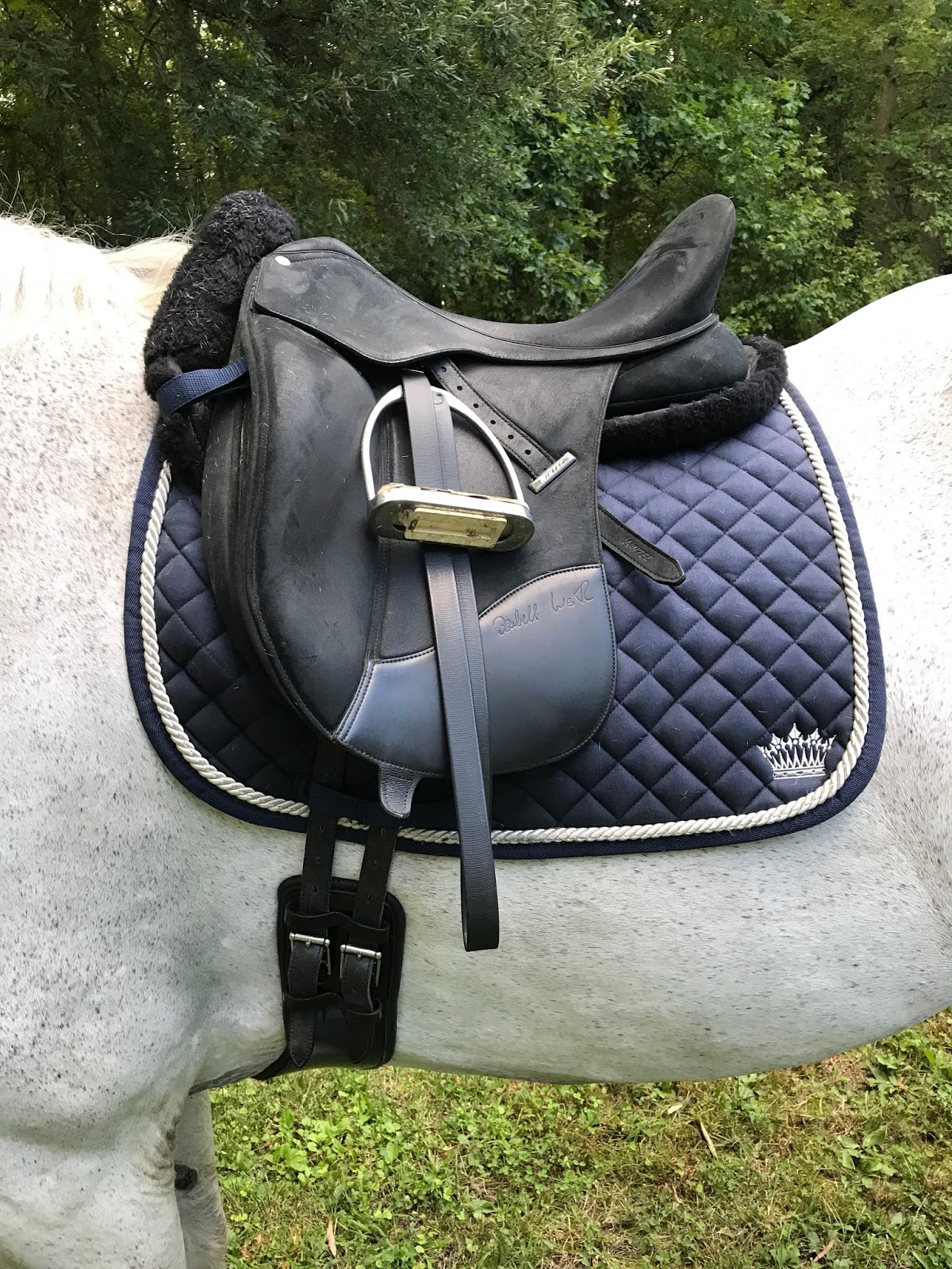 The Jumping Percheron Total Saddle Fit Girth Improved Dressage Girth