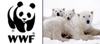 Proud Supporter of the <br> World Wildlife Fund