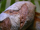 Pan de Espelta con Masa Madre
