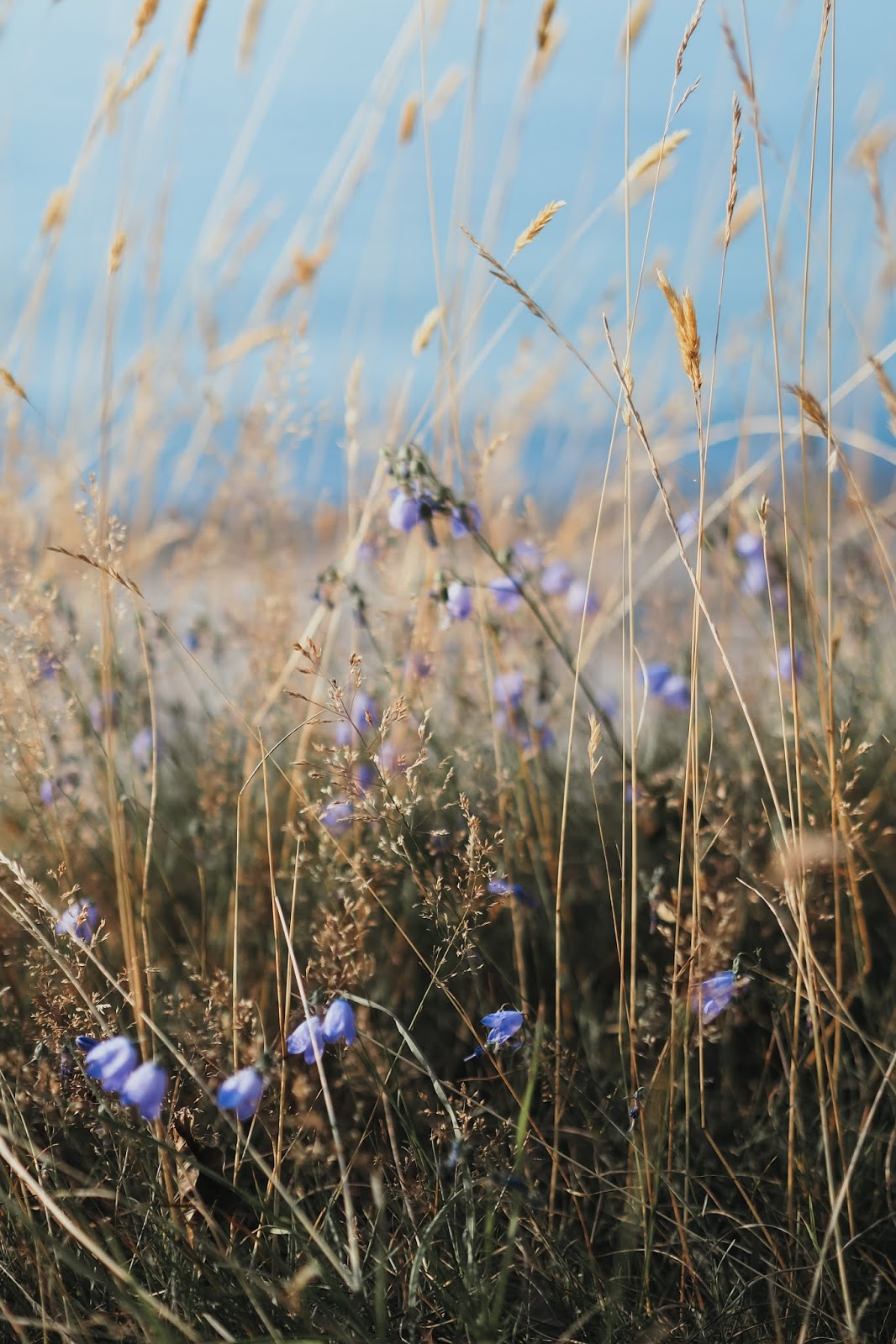 La Citta Di Carta Luglio 2014